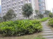 汽博商圈 准轻轨房 精装四房双卫 出行方便 配套齐