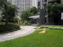 (业主包税)珠江新城东 粤海丽江花园 高层望珠江公园 带车位