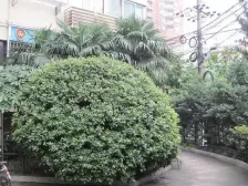 人民广场 · 振兴大楼 · 2室 · 2厅