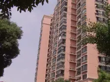 现场实勘 精装 中间楼层 必看好房