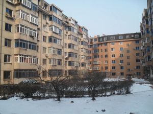 锦江园南北通透户型规整带阁楼价钱可议诚心卖采光好