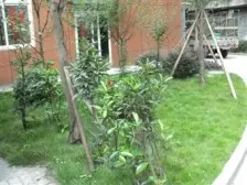 高新区 建工太阳公馆一房26万