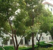 近地铁,拎包入住采光好通风好新上房源