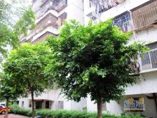 巴南 郭家岗 2室1厅