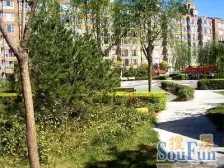 晨曦花园 3室2厅 南 北