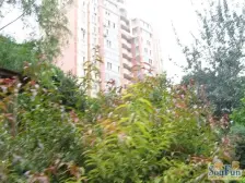 18号线 轻轨站 电梯5房 成熟小区 出脚方便