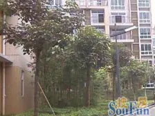 业主诚心出售,近轻轨,近农贸市场,出行方便配套齐全