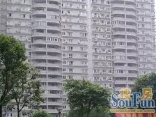 洺悦城龙洲湾 4室2厅 东南