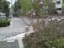 此房住家安静 户型方正 小区出门方便