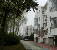 秀枫苑,中间楼层,位置安静,靠五号线,飞机户型