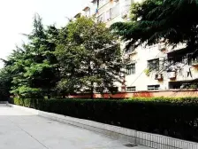 低楼层,出行方便,满五税费少,上绿苑,看房随时!