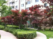 星海广场 挑空大跃层 少有的一览无余海景让您爱上回家