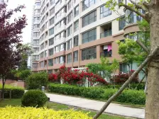 壹品星海三期 4室海景房 重金装修未住过