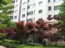 海上升明月,美景共赏之,装修真材料,人见人欢喜