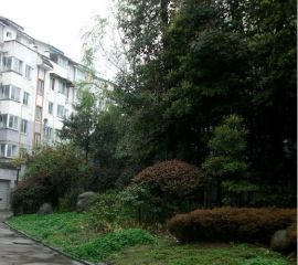 康桥水乡A区 2室1厅 东南