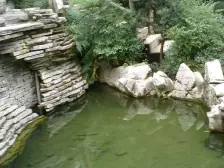 鱼洞 东昇苑四房97万