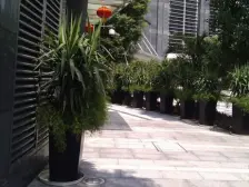 星汇云锦 1室1厅 西南