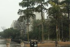 蓝岸B区 3室1厅 南 北