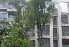 蓝岸A区 3室2厅 西南