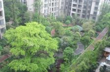 蓝岸B区 3室1厅 东南