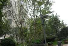 蓝岸B区 3室2厅 东南