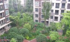 蓝岸A区 3室1厅 东南