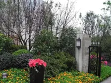 中间楼层,采光佳,精装自住,价美