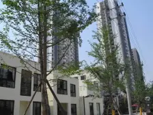 鱼洞 优跃城三房48万