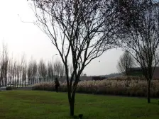 照母山 万科悦府五房450万