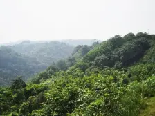 照母山 万科悦府四房480万