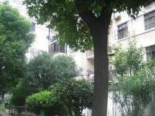 虹桥·爱建小区·2室·1厅