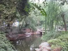 中间楼层 小区环境好 南北通透两房 近公园地铁