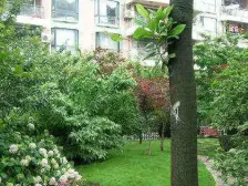 虹桥路高区电梯3房,视野好,阳光充足,诚意出售!