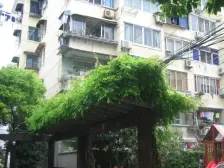 东边套全明,0税 朝南带一个院子,10号线旁边