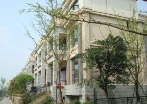 林汀别墅0室0厅南