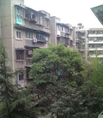 战旗东路9号2室2厅北