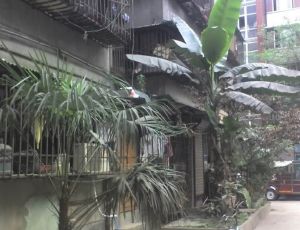 战旗东路6号2室1厅东南南东