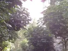 精选好房,满五仅一套,采光通风好,位置佳