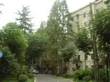 新上好房,近地铁和71路公交,位置好,南北全明户型