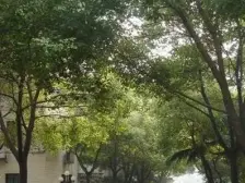 近地铁,精装 刚需上车 新上房源