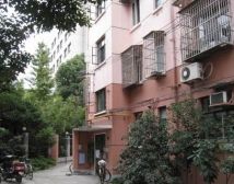 虹桥路967弄 2室1厅 南