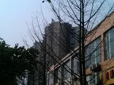 龙洲湾 帝豪水岸三房61.8万