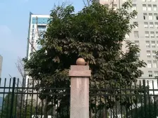 3号线学堂湾站200米,住家精装修正规三房近万达近公园