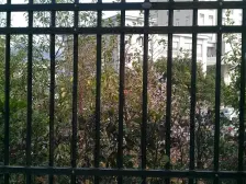 头排看江 近万达广场 环境好 配套齐全