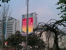 典雅龙海港湾 3室1厅 东 东南