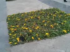 鱼洞 世纪金源御府三房95万