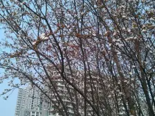 鱼洞 世纪金源御府二房70万