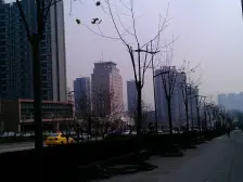 鱼洞 世纪金源御府二房51万