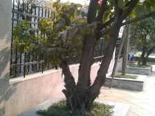 鱼洞 浩立半岛康城二房45万