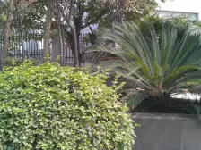 鱼洞 浩立半岛康城三房50万